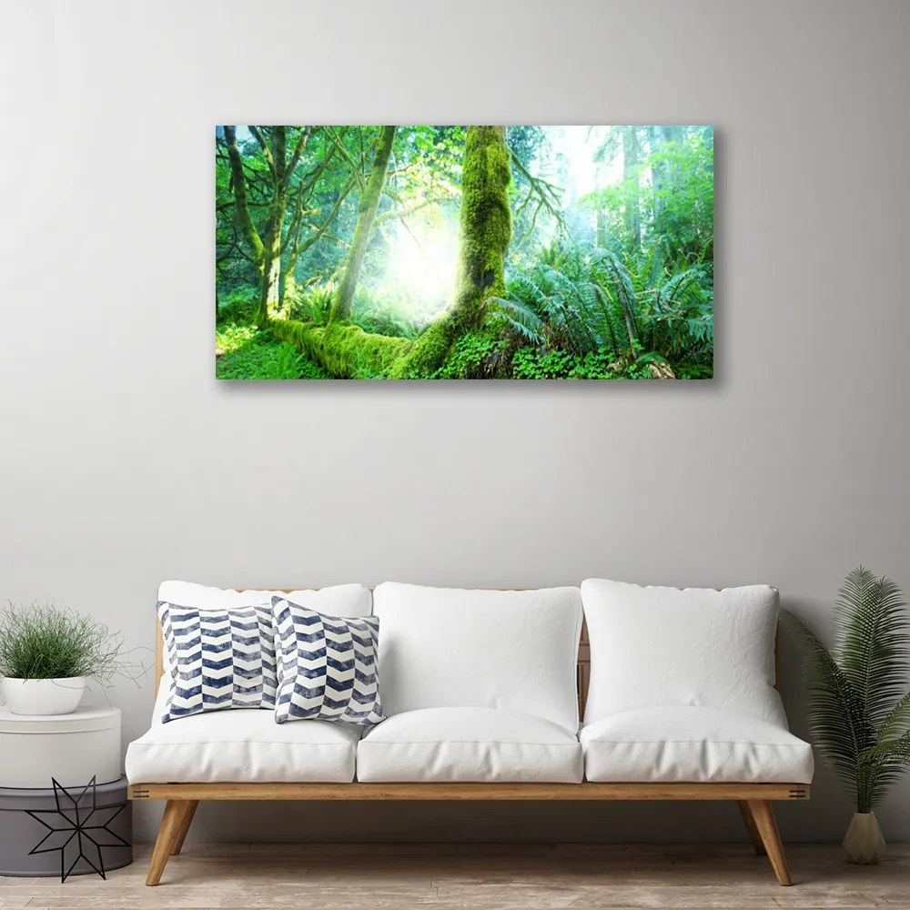 Fotoobraz na płótnie Miękkość Leśnego Mchu