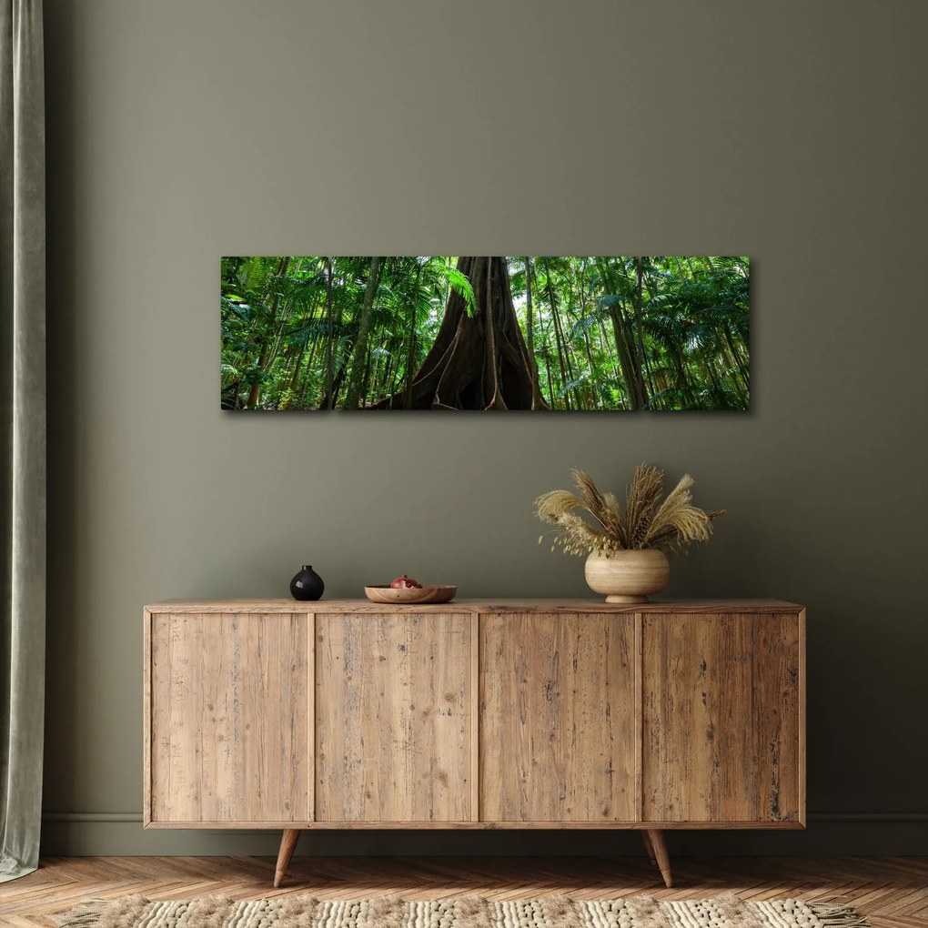 Obraz - Korzenie drzewa (170x50 cm)