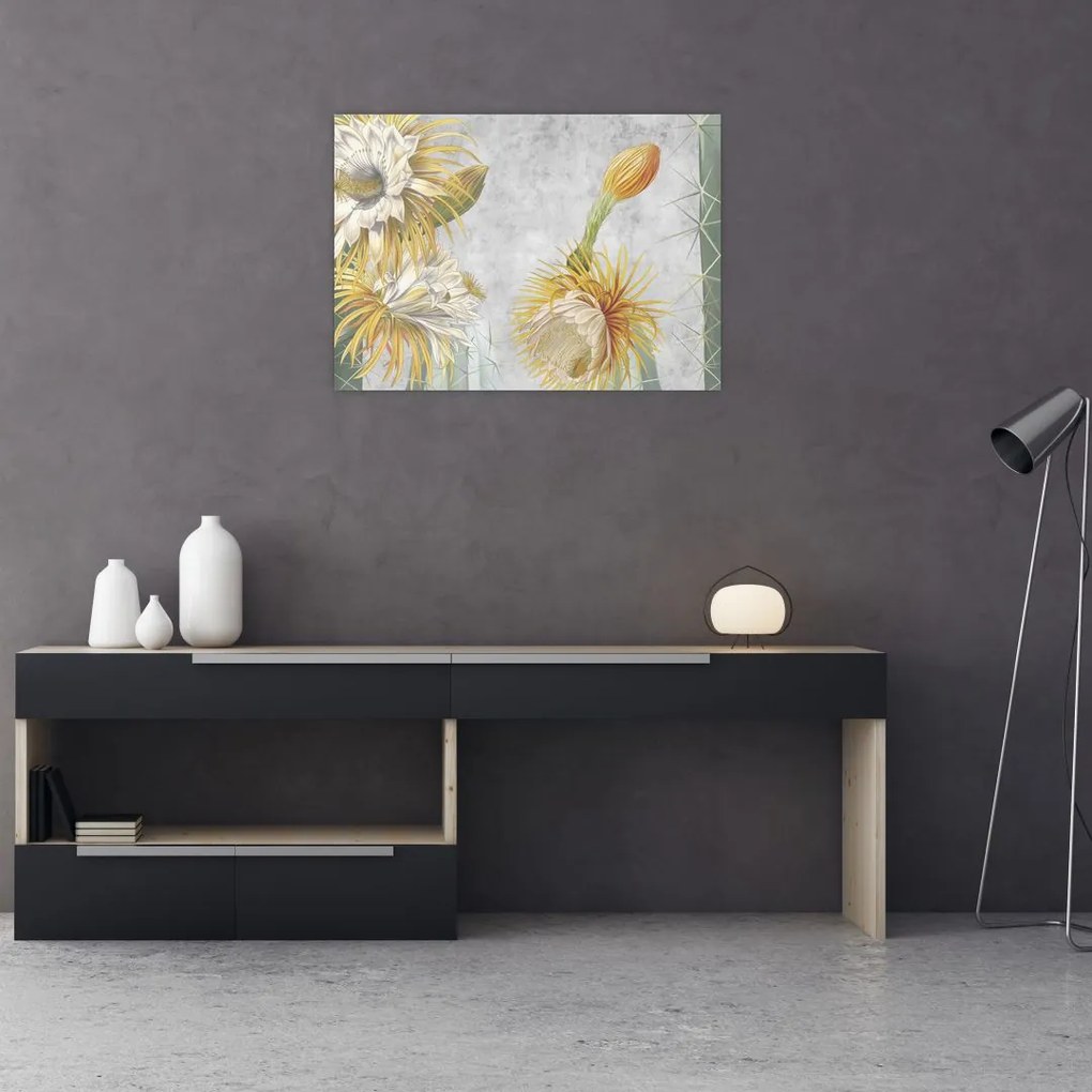 Obraz - Kwitnące kaktusy (70x50 cm)