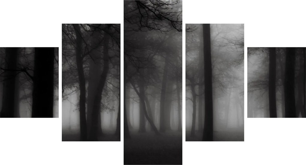 Obraz - Las we mgle (125x70 cm)