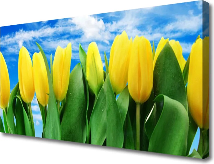 Duży obraz na płótnie Barwna Kompozycja Tulipanów