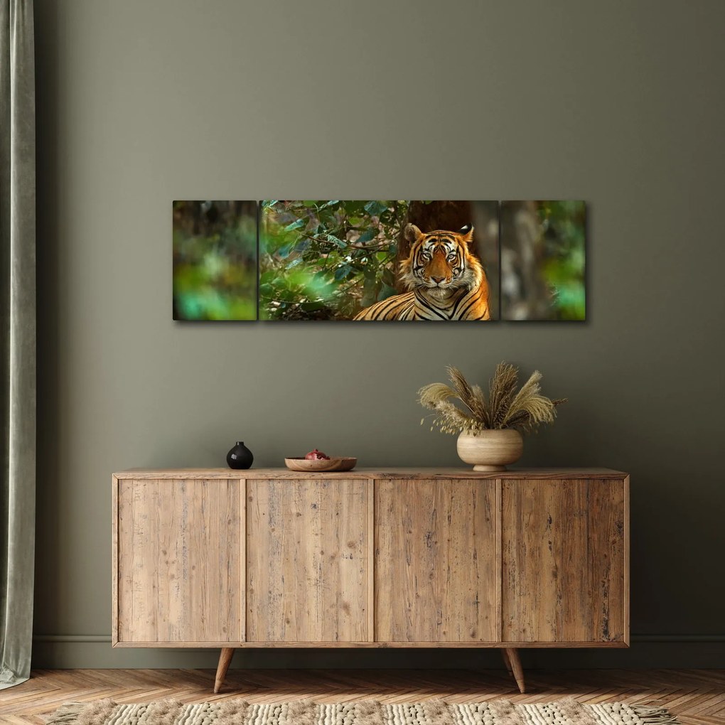 Obraz odpoczywającego tygrysa (170x50 cm)