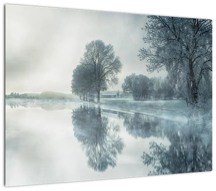 Obraz na szkle - zimowa natura (70x50 cm)