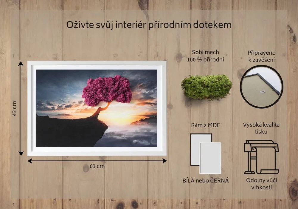 Obraz z mchem Drzewo nad przepaścią