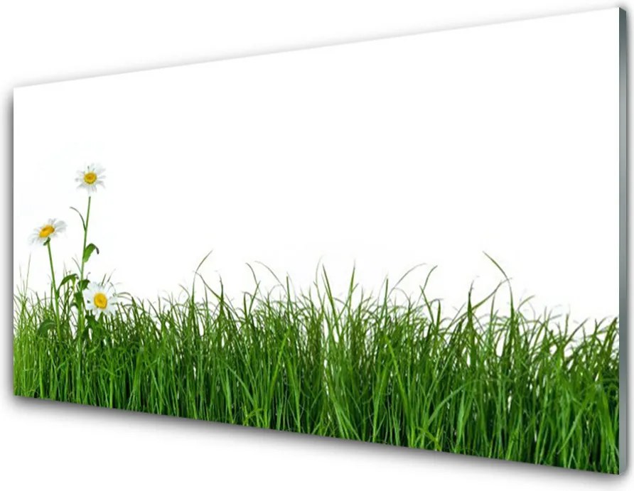 Panel Kuchenny Delikatność Polnej Trawy