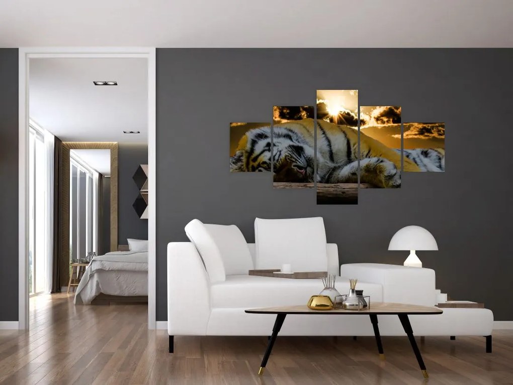 Obraz śpiącego tygrysa (125x70 cm)