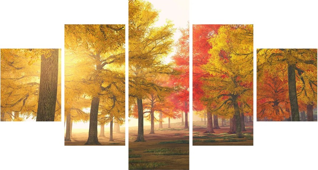 Obraz jesiennych drzew (125x70 cm)
