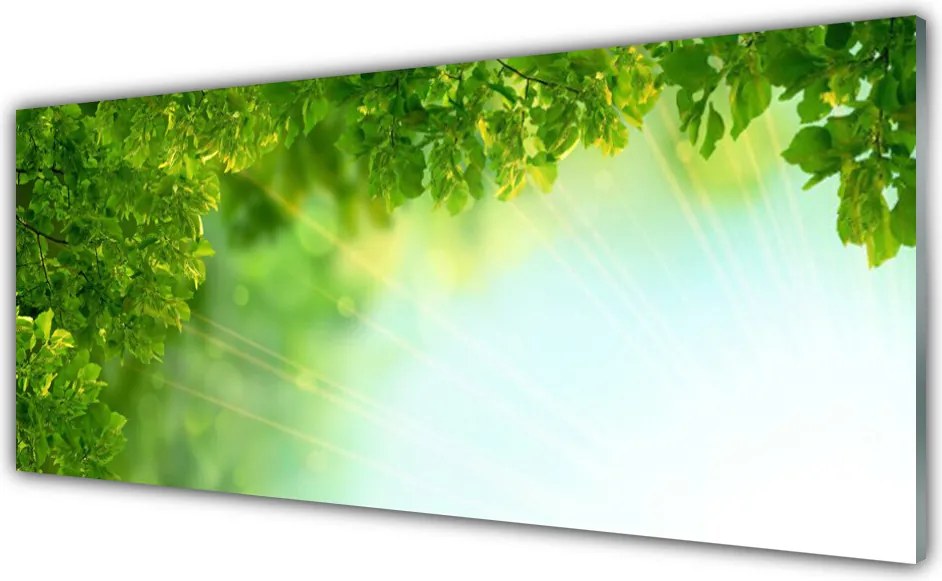 Panel Szklany Botaniczny Detal Liści