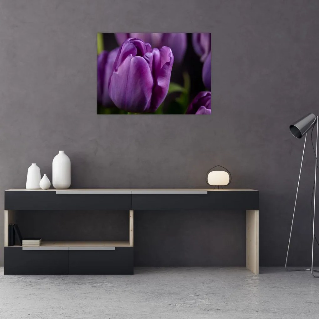 Obraz na szkle - kwiaty tulipanów (70x50 cm)