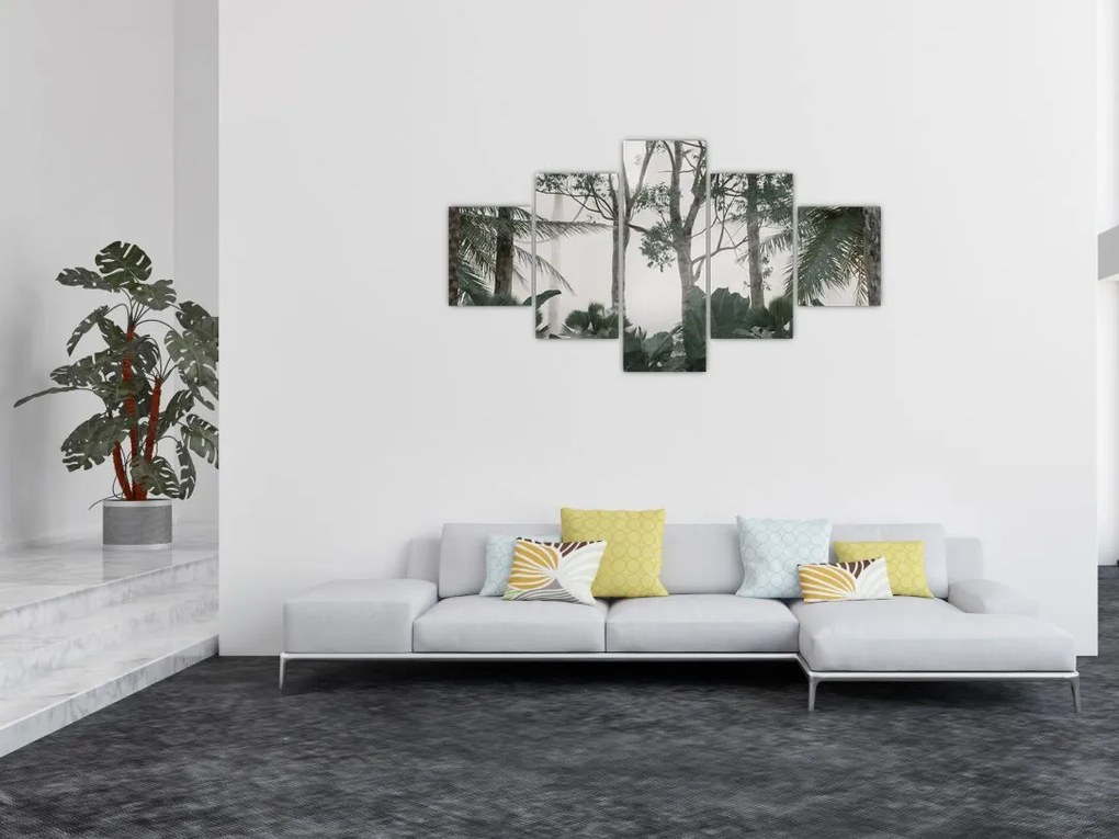 Obraz - dżungla w porannej mgle (125x70 cm)