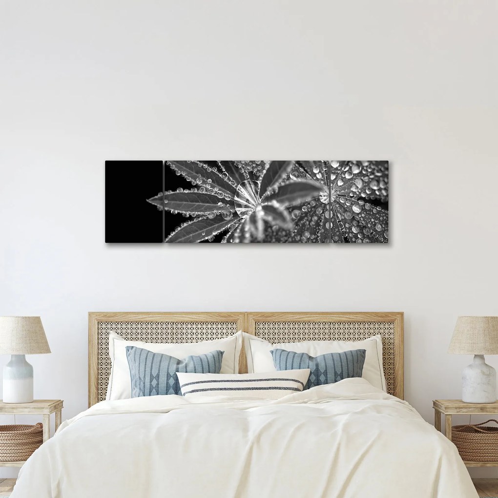 Obraz - Liście z kroplami (170x50 cm)