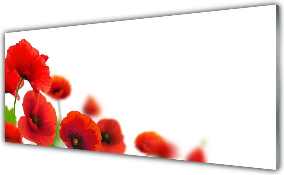 Panel Kuchenny Czerwone Maki W Słońcu