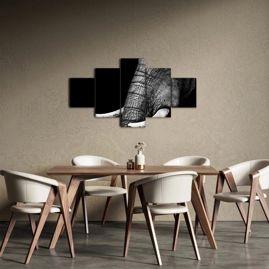 Obraz - Kły słonia (125x70 cm)