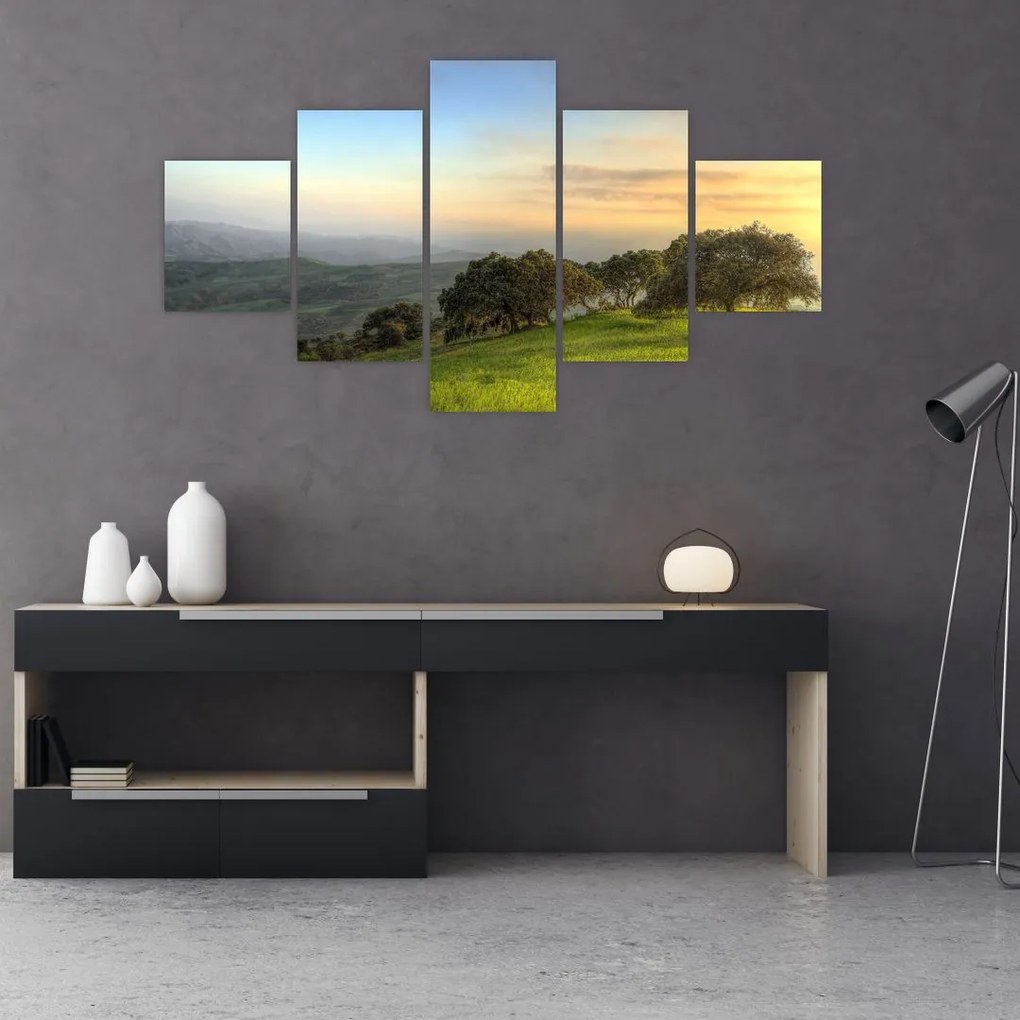 Obraz - Widok ze wzgórza (125x70 cm)