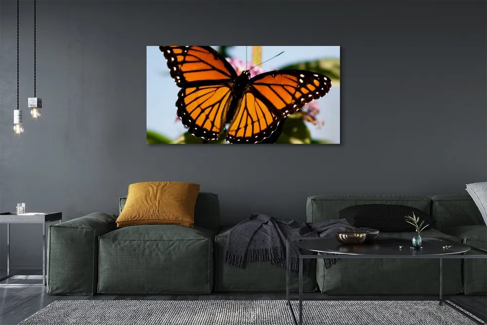 Fotoobraz na płótnie Kolorowy Motyl