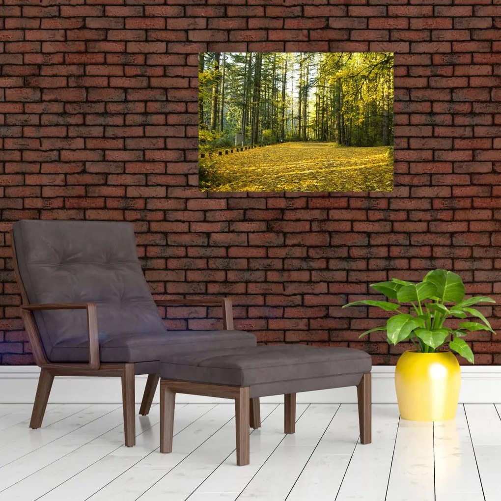 Obraz - las jesienią (70x50 cm)