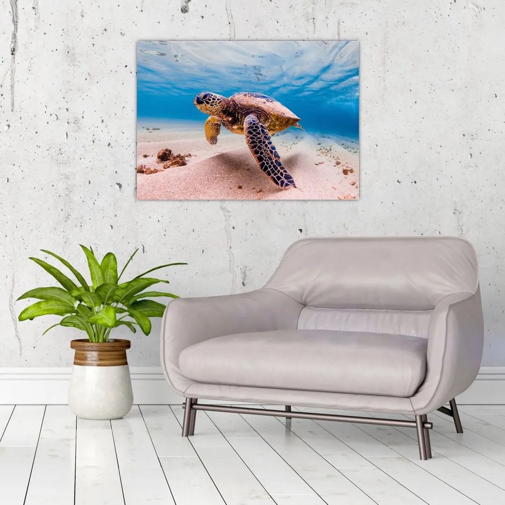 Obraz na szkle żółwia w oceanie (70x50 cm)