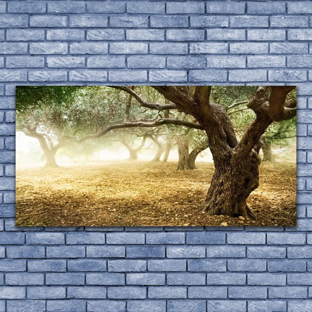 Obraz na Szkle Drzewo Trawa Natura