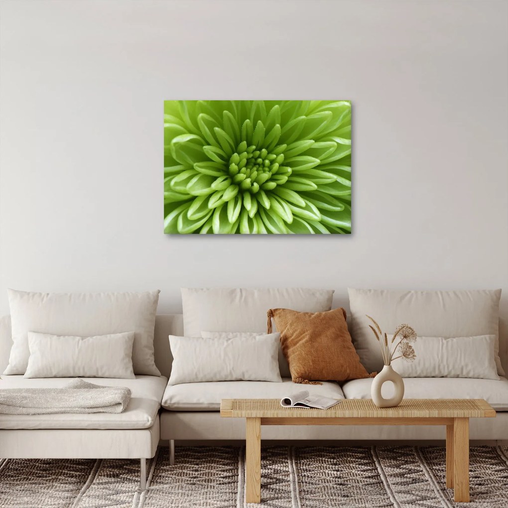 Obraz - Obraz rośliny w trybie makro (70x50 cm)