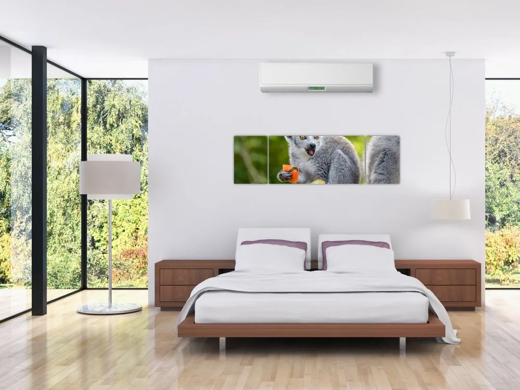 Obraz lemura (170x50 cm)