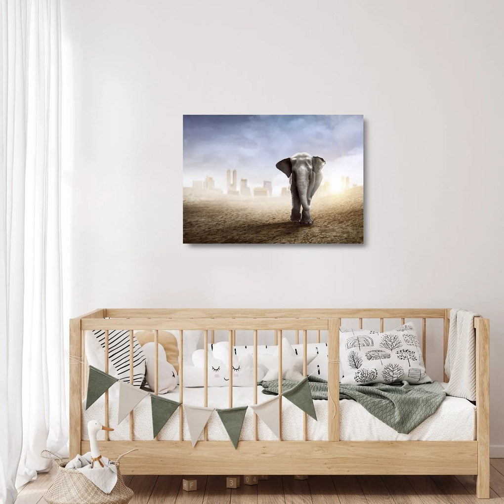Obraz na szkle - Słonie w wielkim mieście (70x50 cm)