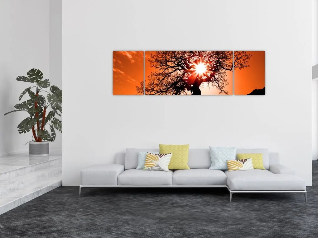 Obraz - Dąb o zachodzie słońca (170x50 cm)