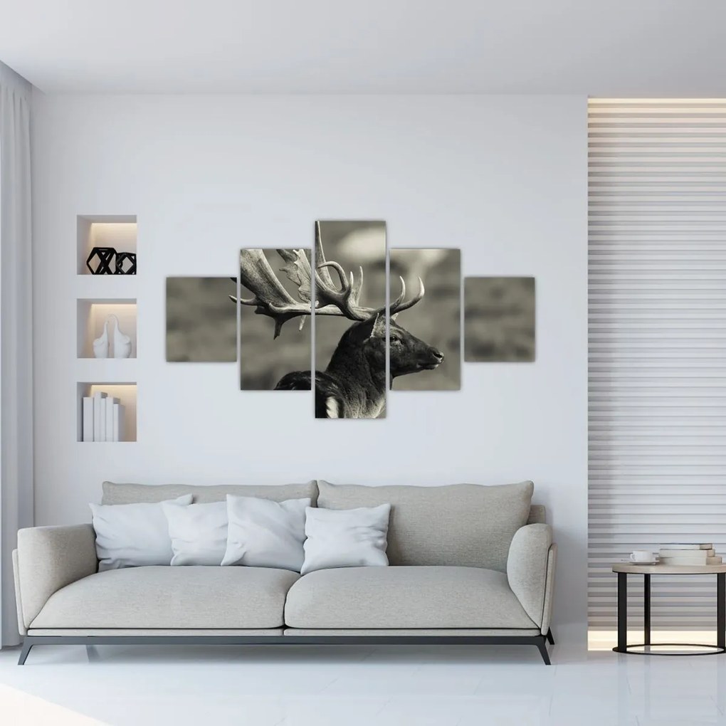 Obraz - Jeleń (125x70 cm)