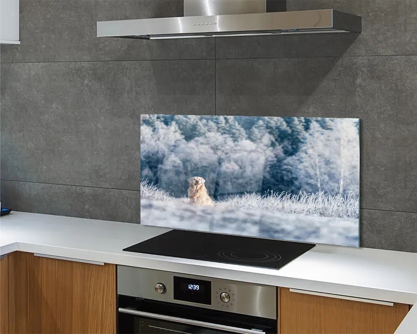 Szklany Panel Pies w Zimowych Górach