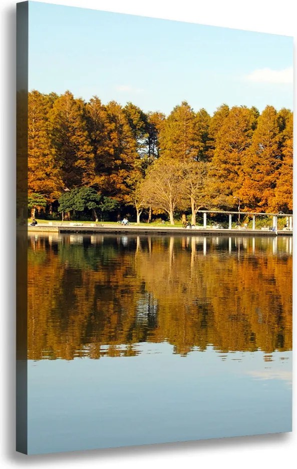 Foto obraz na płótnie pionowy Park jesienią