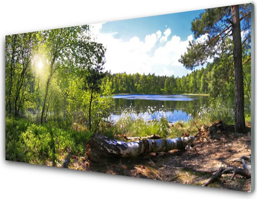Panel Szklany Jezioro w Objęciach Lasu