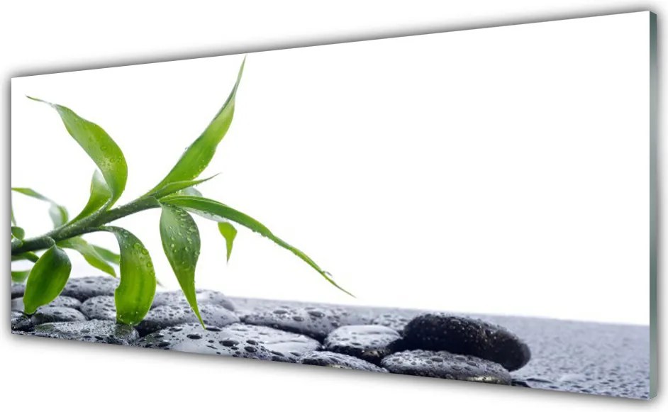 Panel nad blat kuchenny Harmonijne Połączenie Liści I Kamieni