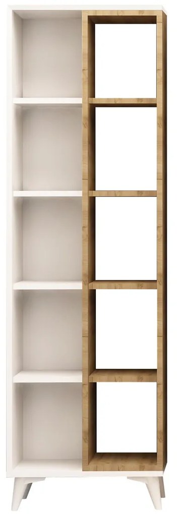 Biblioteczka Enzamu