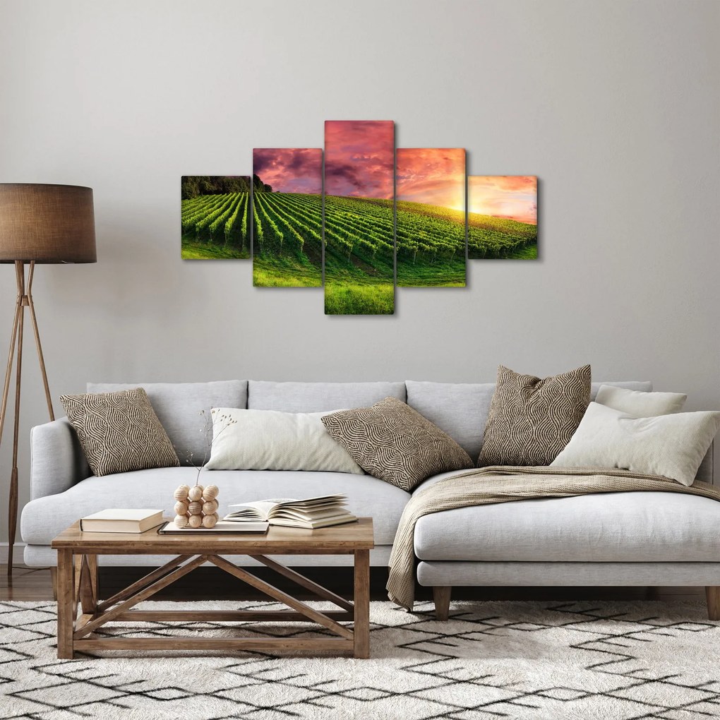 Obraz winnicy z kolorowym niebem (125x70 cm)