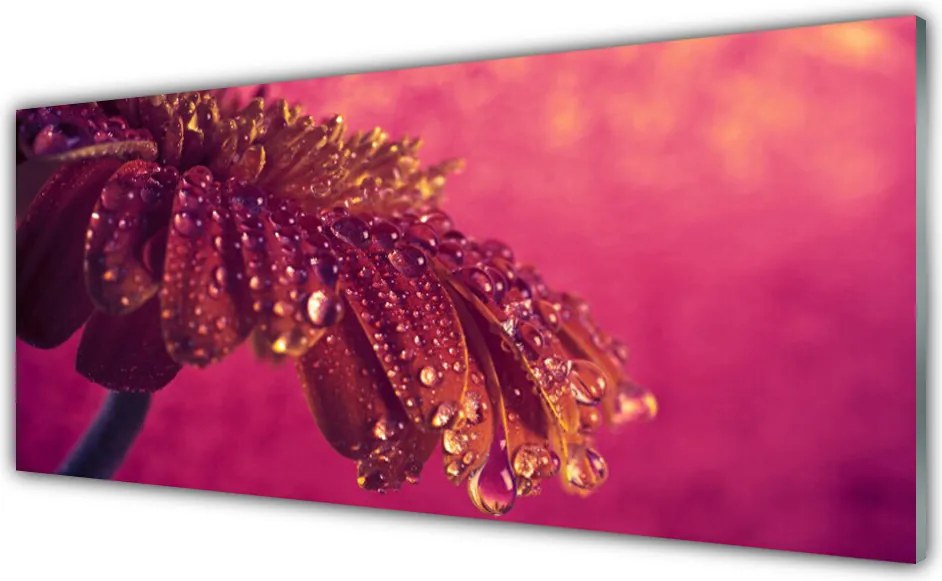 Panel Szklany Majestatyczne Drzewo w Polu