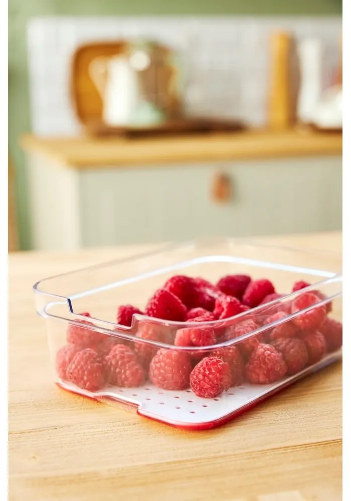 Plastikowy organizer do lodówki Cauma – Rotho