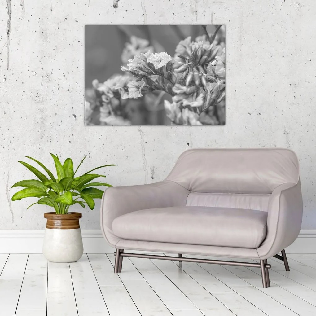 Obraz na szkle - Suszone kwiaty (70x50 cm)