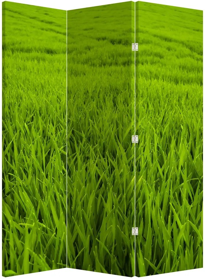 Parawan - Trawa (126x170 cm)