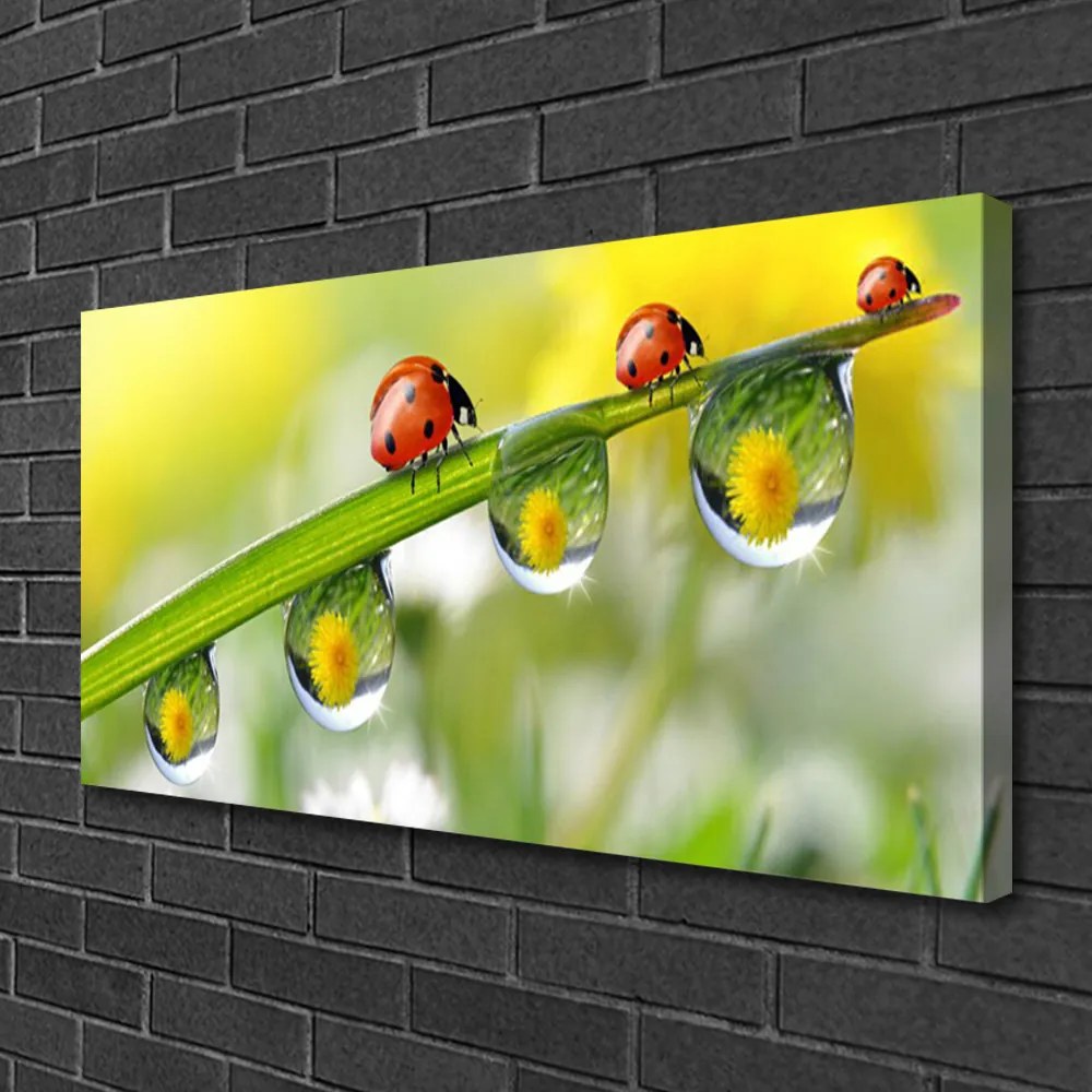 Obraz canvas na ścianę Biedronka na Zielonym Liściu