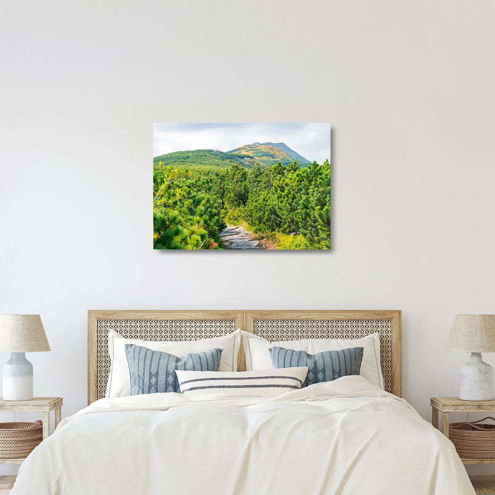 Obraz na szkle - Babia Góra, Polska (70x50 cm)