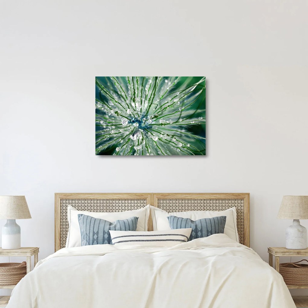 Obraz na szkle - Makro zdjęcie kwiatu (70x50 cm)