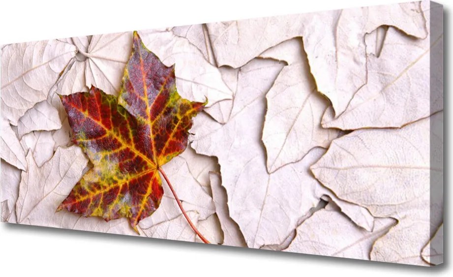 Obraz na płótnie Botaniczny Motyw Liściasty