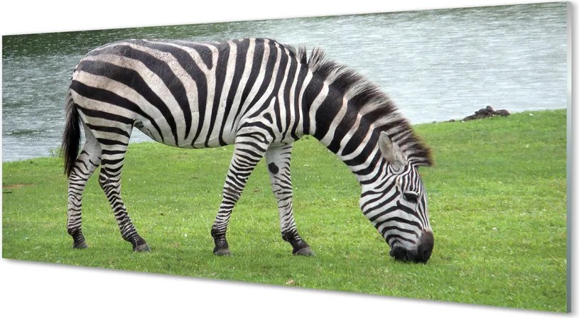 Szkło do Kuchni na Ścianę Portret Zebry w Paski