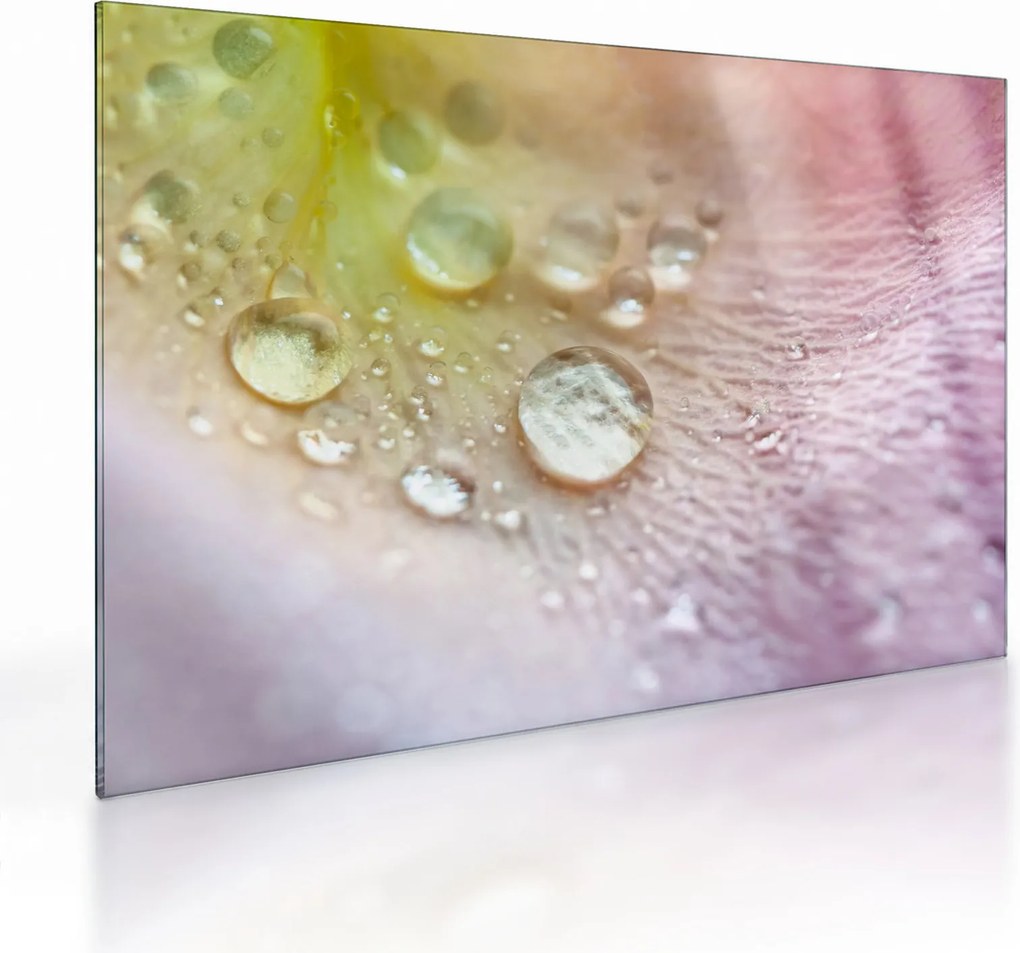 Obraz na szkle - Krople rosy (70x50 cm)