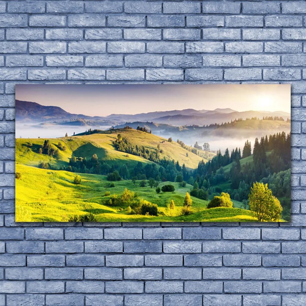 Obraz na płótnie Poranna Mgła nad Polami