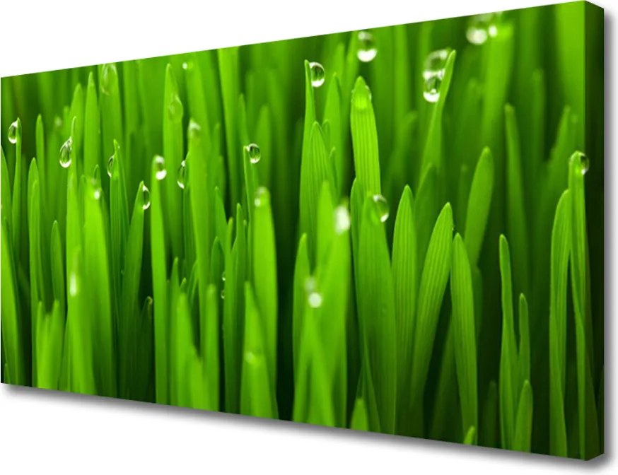 Obraz na płótnie Naturalne Źdźbła Trawy