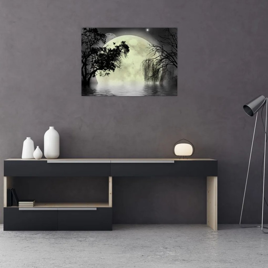 Obraz - Księżyc w pełni nad powierzchnią, wersja czarno - biała (70x50 cm)