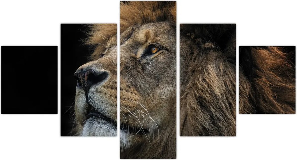 Obraz - Majestatyczny lew (125x70 cm)