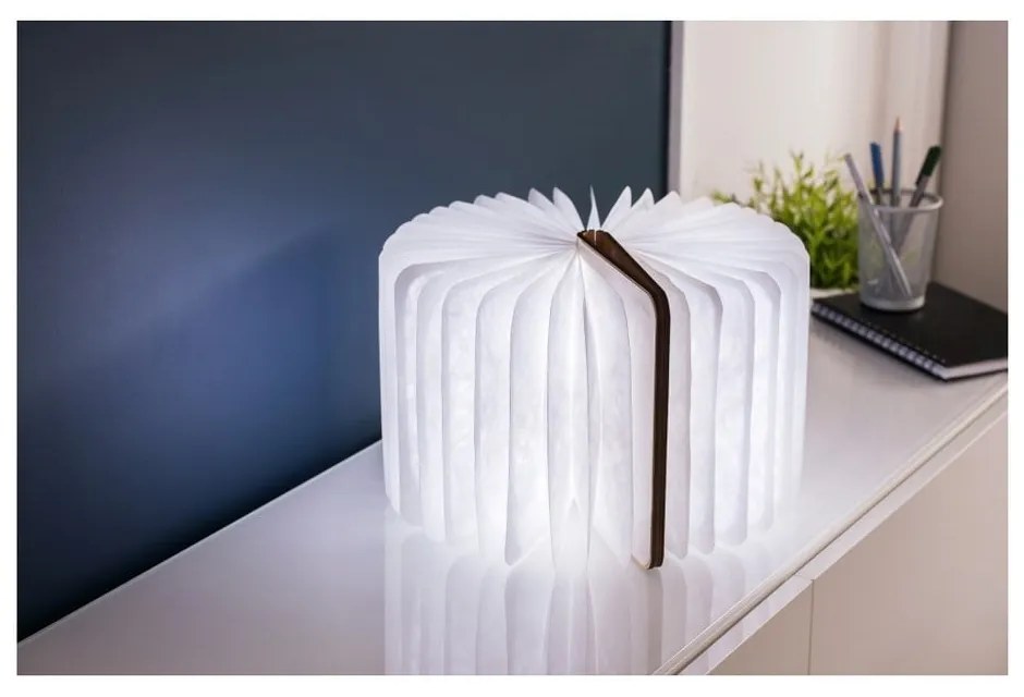 Dekoracja świetlna na USB w naturalnym kolorze Booklight – Gingko