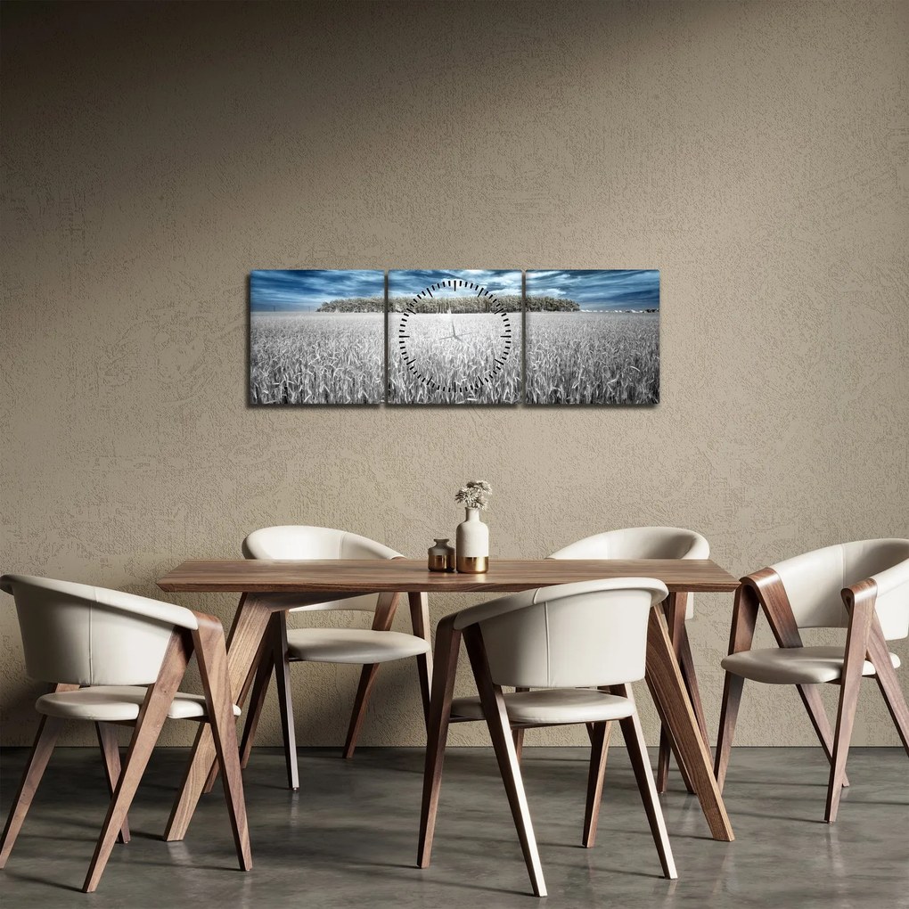 Obraz pola (z zegarem) (90x30 cm)