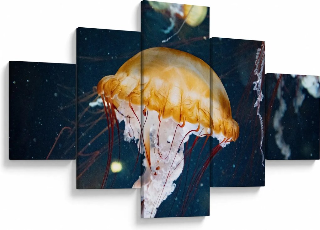 Obraz meduzy (125x70 cm)